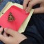 Une envolée de papillons pour des élèves de 6e année du secteur Saint-Hilaire