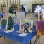 Une exposition haute en couleurs des élèves du Pavillon Marie-Victorin